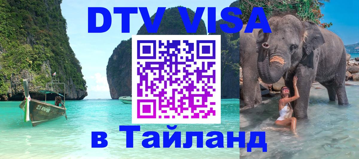 Сколько стоит DTV виза — актуальные цены, оформление даже без документов - 18.11.2025 